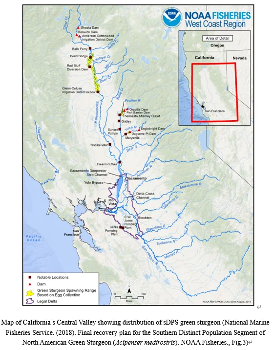 Photo of Central Valley