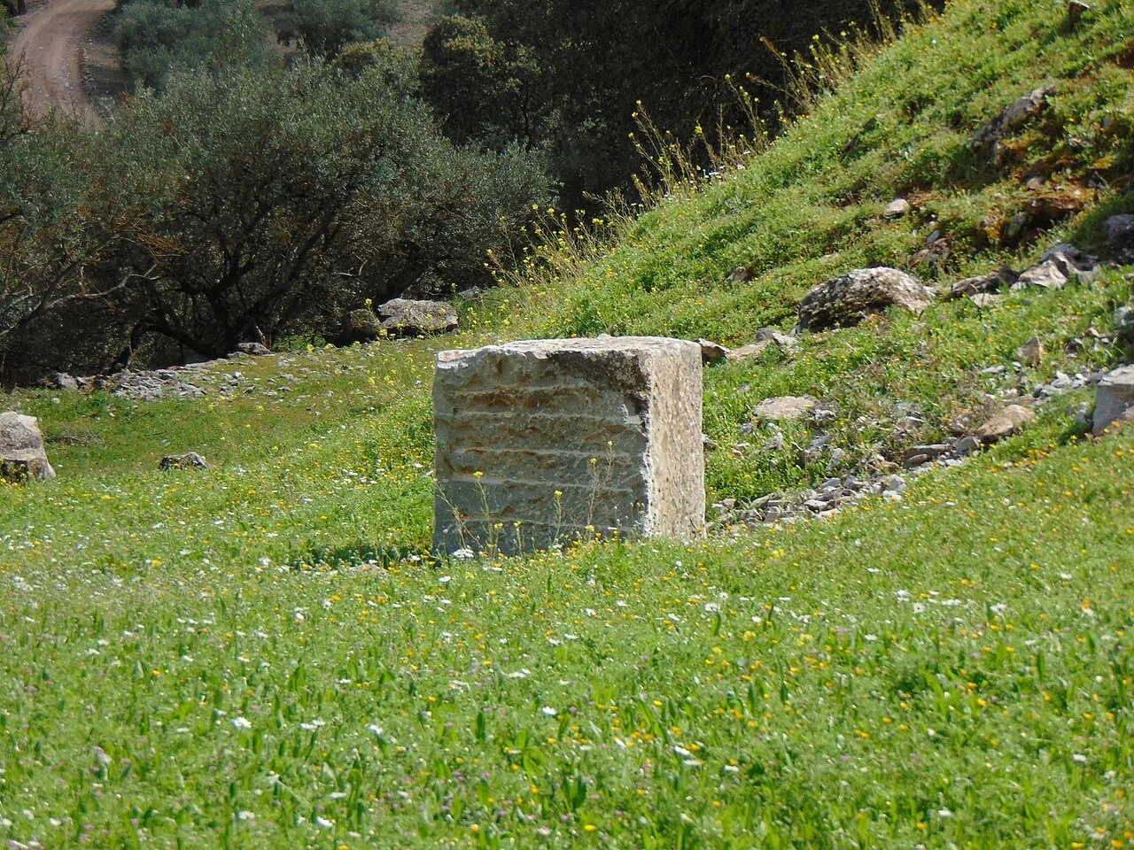 Photo of Cerro de Piedra