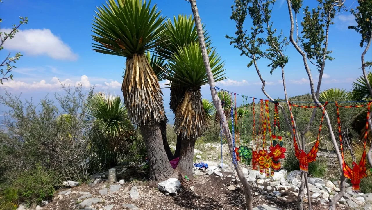 Photo of Cerro Quemado