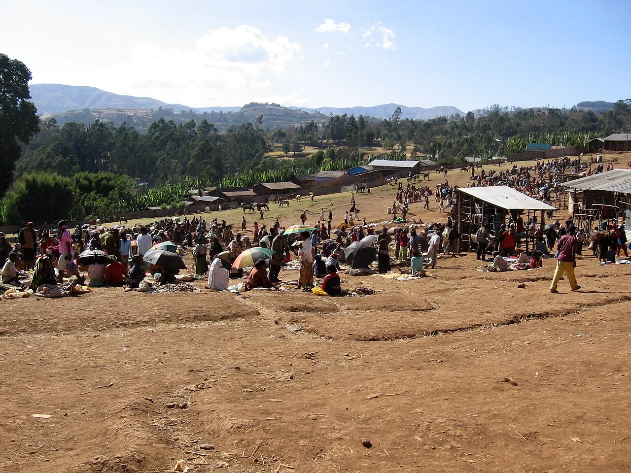 Photo of Ch’ench’a