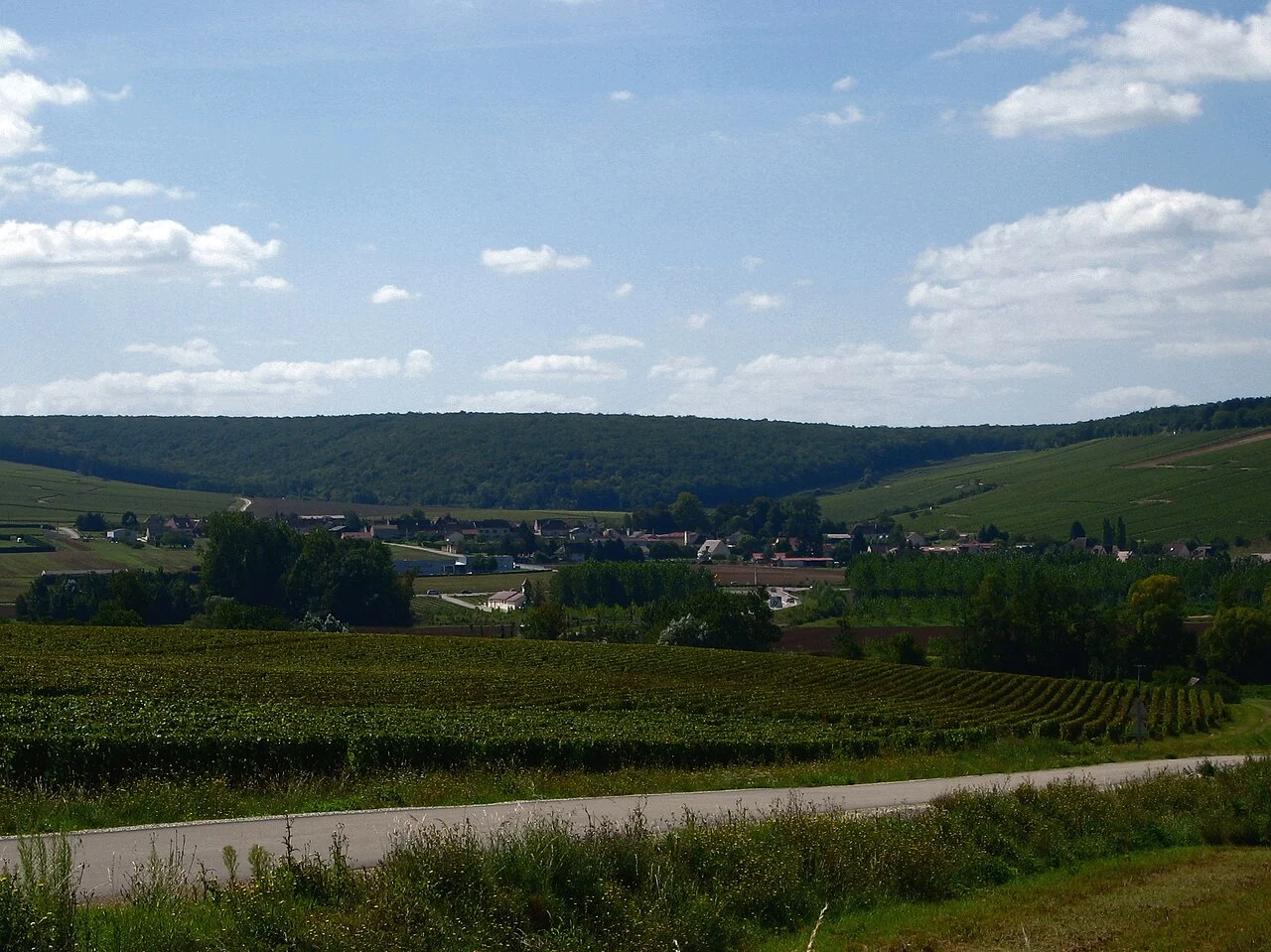 Photo of Chablis