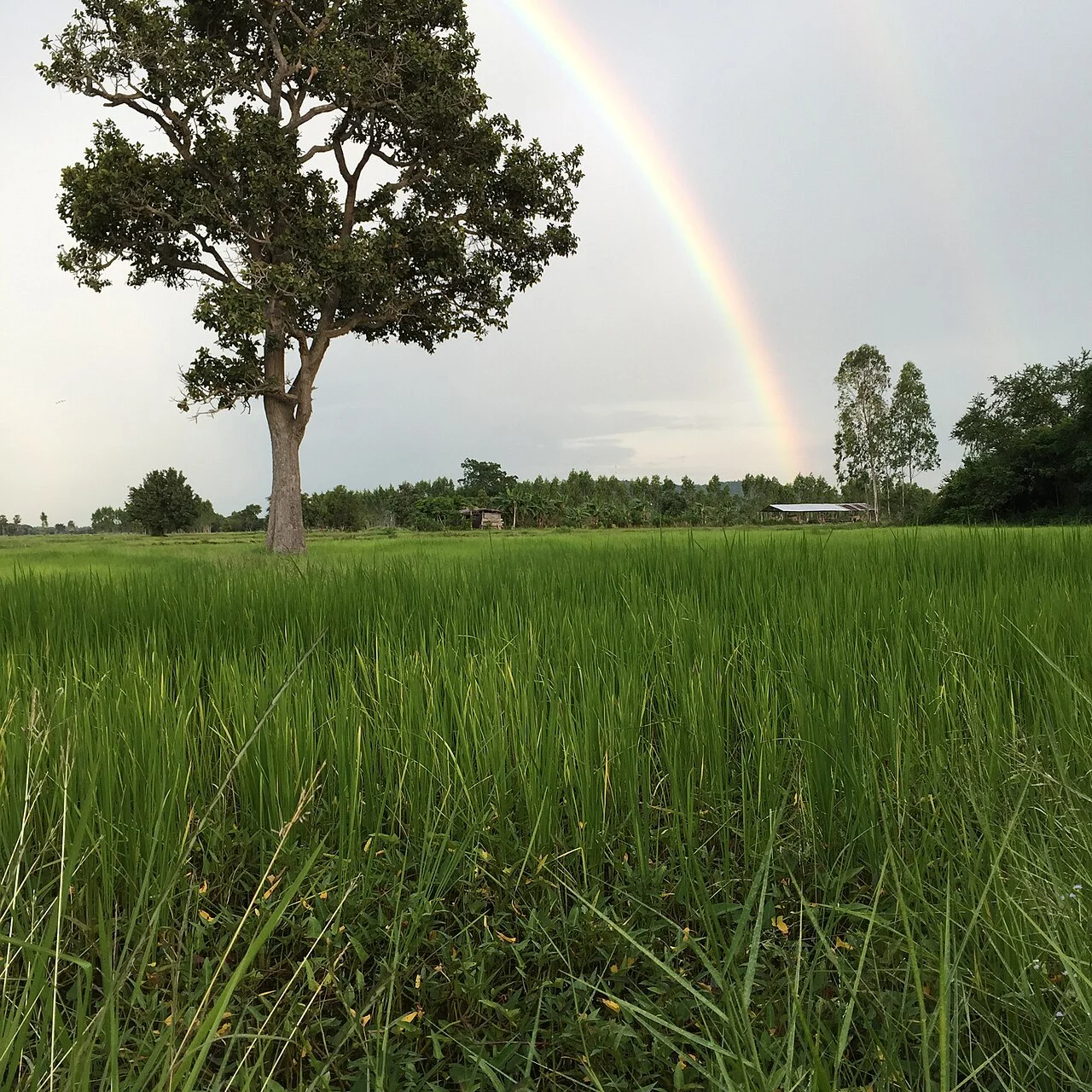 Photo of Chaloem Phra Kiat