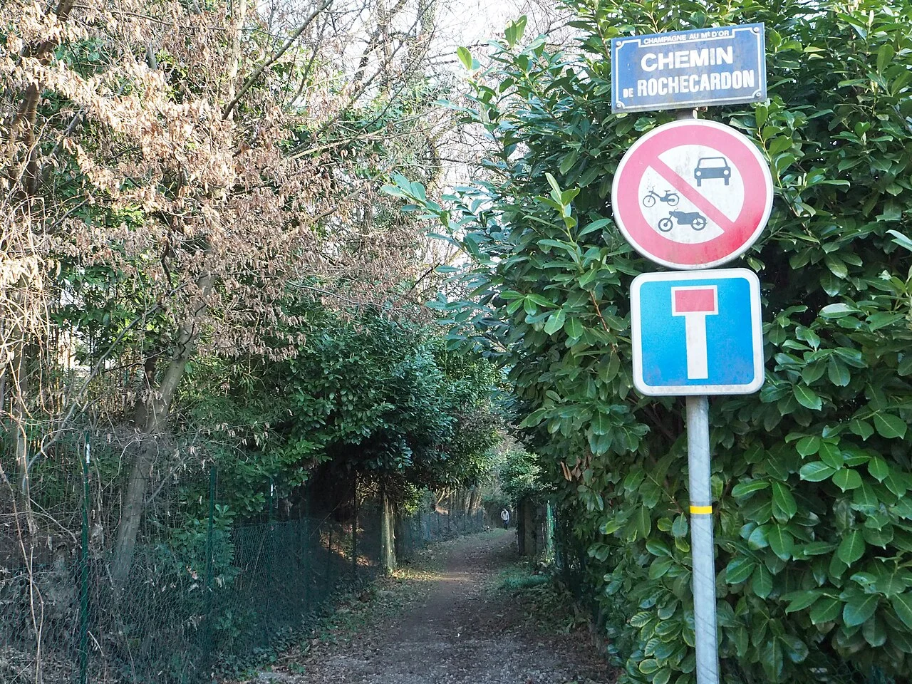 Photo of Champagne-au-Mont-d'Or