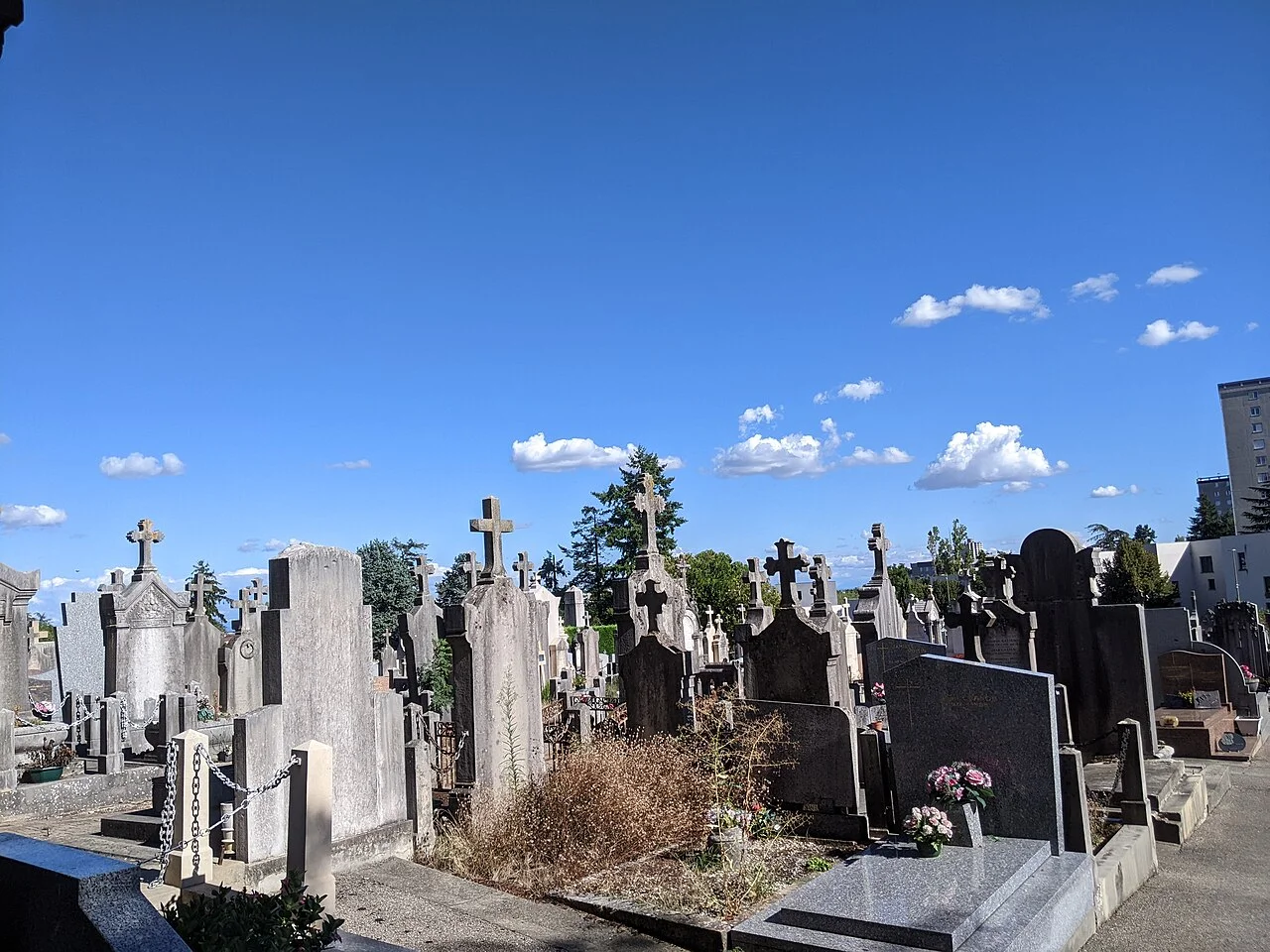 Photo of Champagne-au-Mont-d'Or