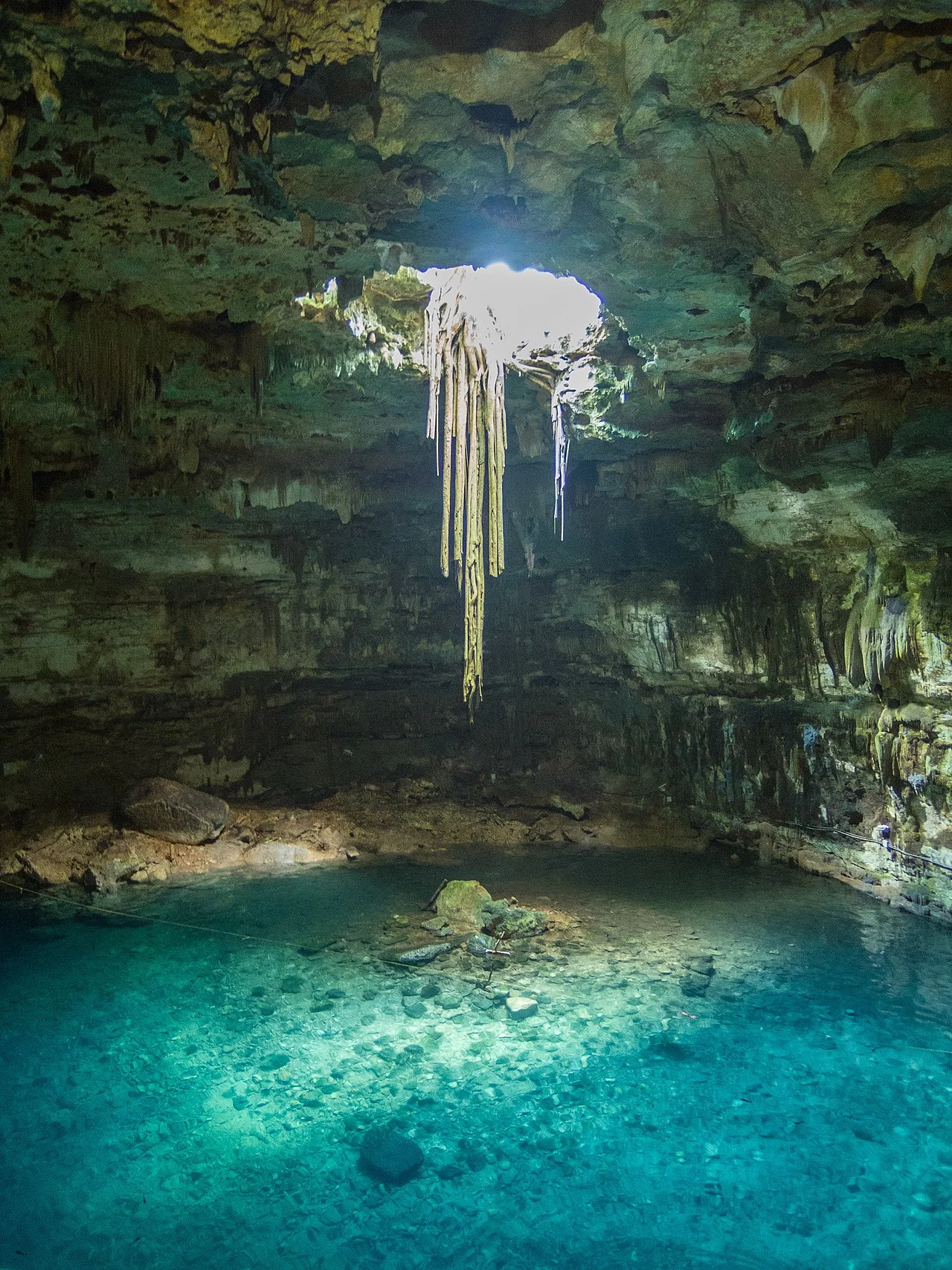 Photo of Chan Cenote