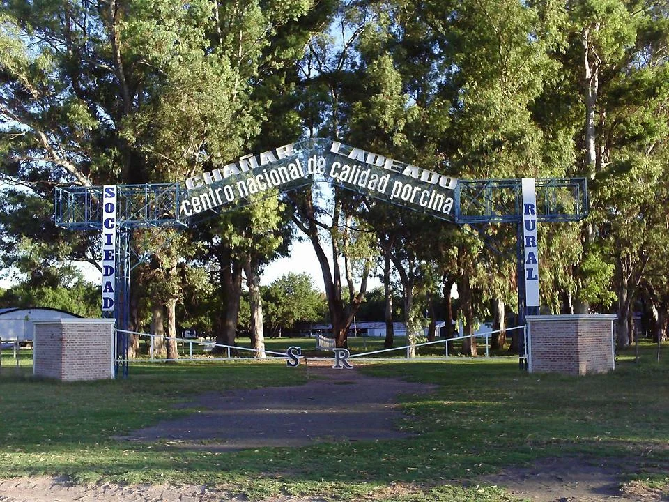 Photo of Chañar Ladeado