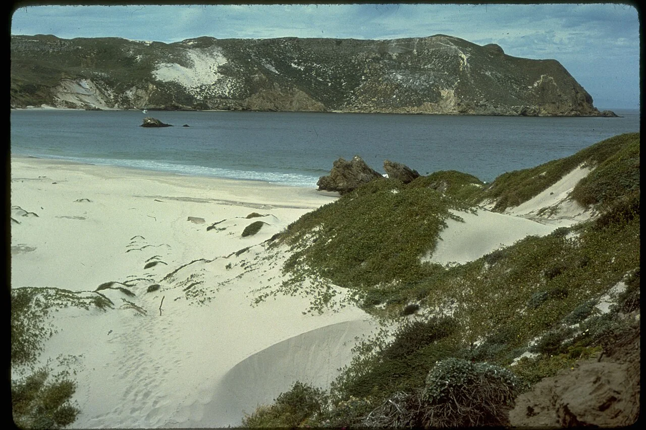 Photo of Channel Islands Beach