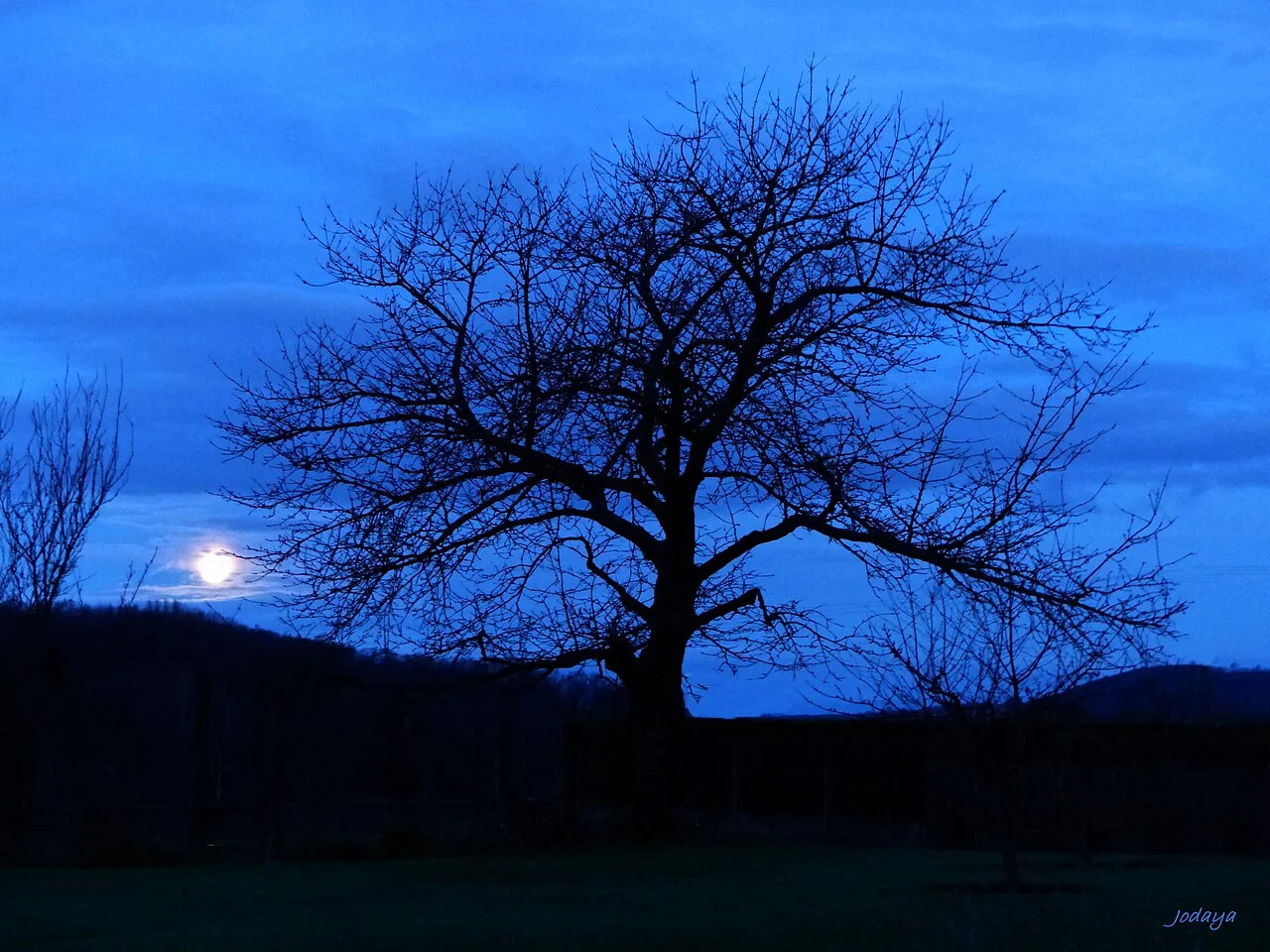 Photo of Charantonnay