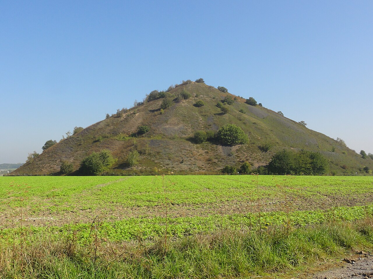 Terril n° 10 dit 3 de Bruay Ouest, Fosse n° 3 - 3 bis - 3 ter de la Compagnie des mines de Bruay, Bruay-la-Buissière, Pas-de-Calais, Nord-Pas-de-Calais, France.