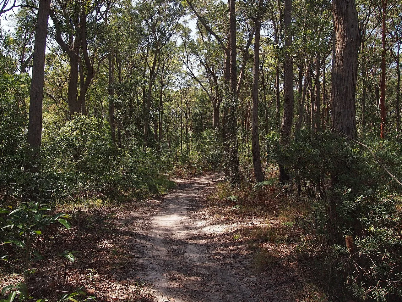 Photo of Charlestown