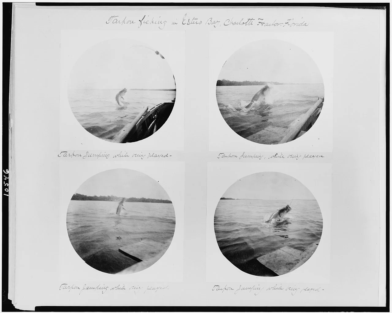 Photo of Charlotte Harbor