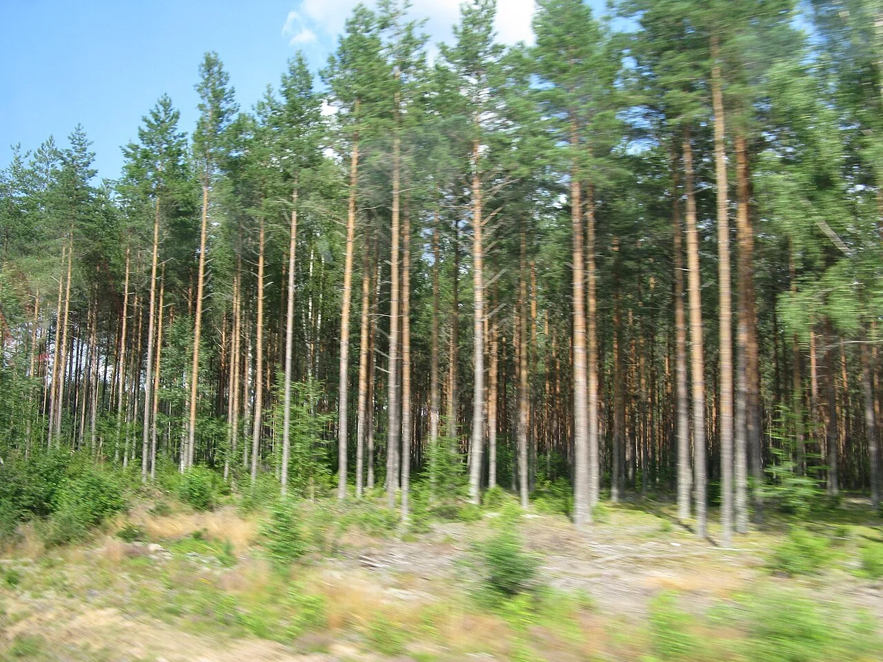 Photo of Charlottenberg