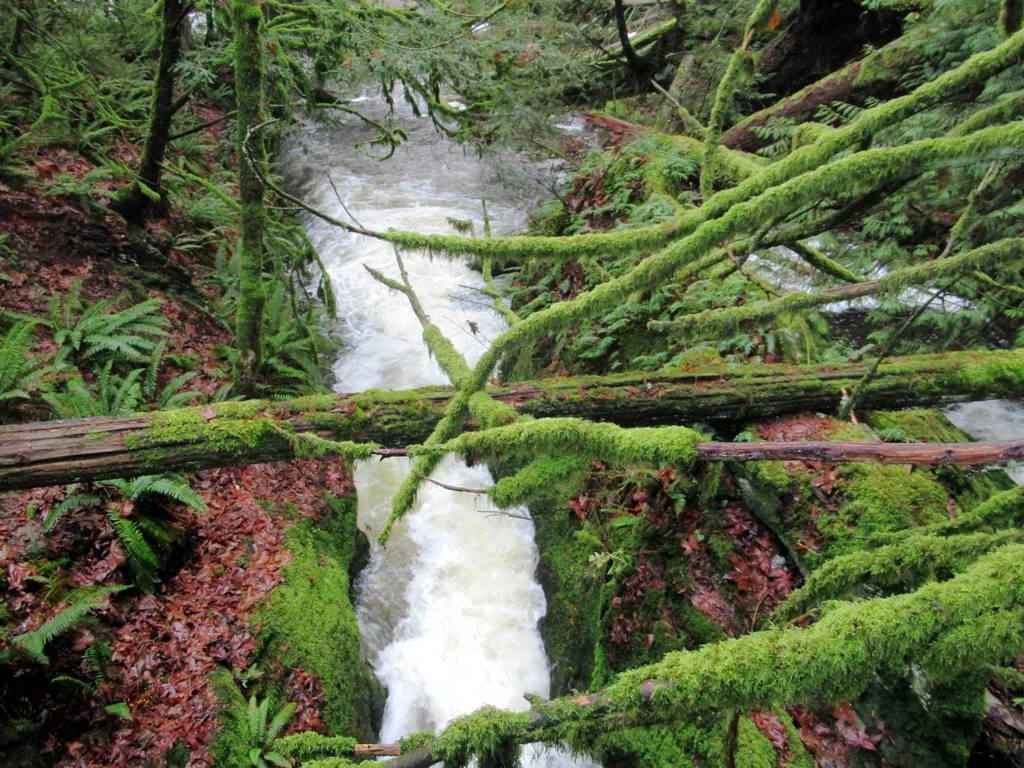 Photo of Chase River