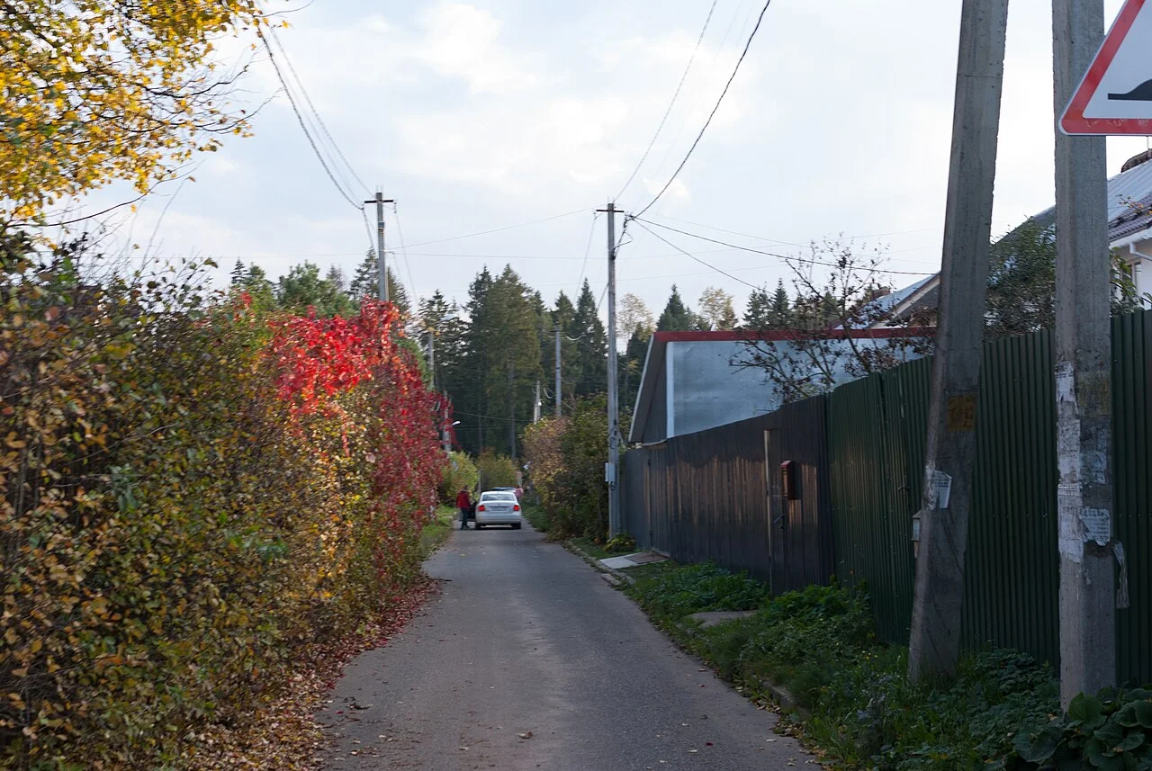 Photo of Chashnikovo