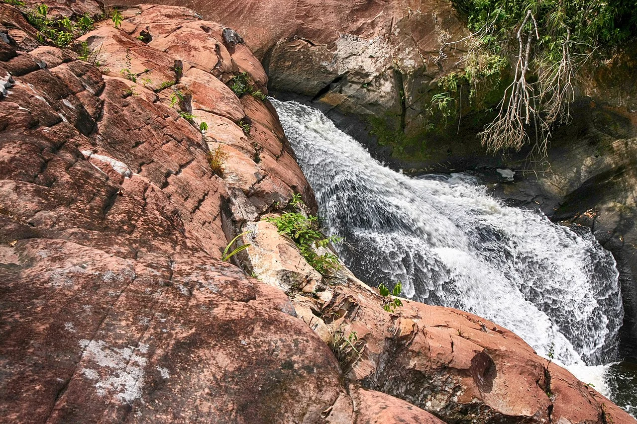 Photo of Chat Trakan