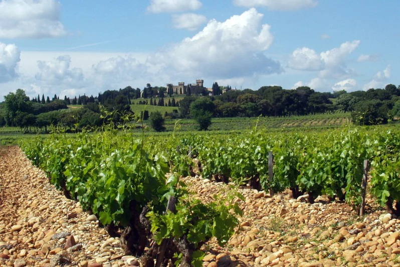 Photo of Châteauneuf-du-Pape