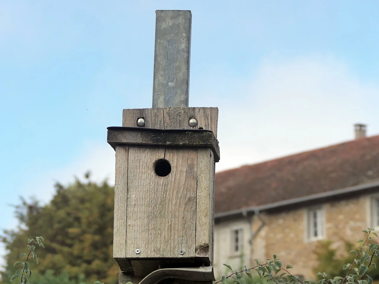 Photo of Châtillon-le-Duc