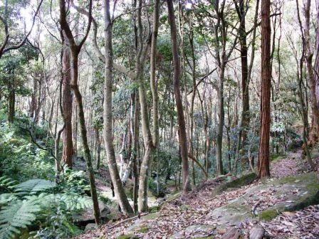 Photo of Chatswood West