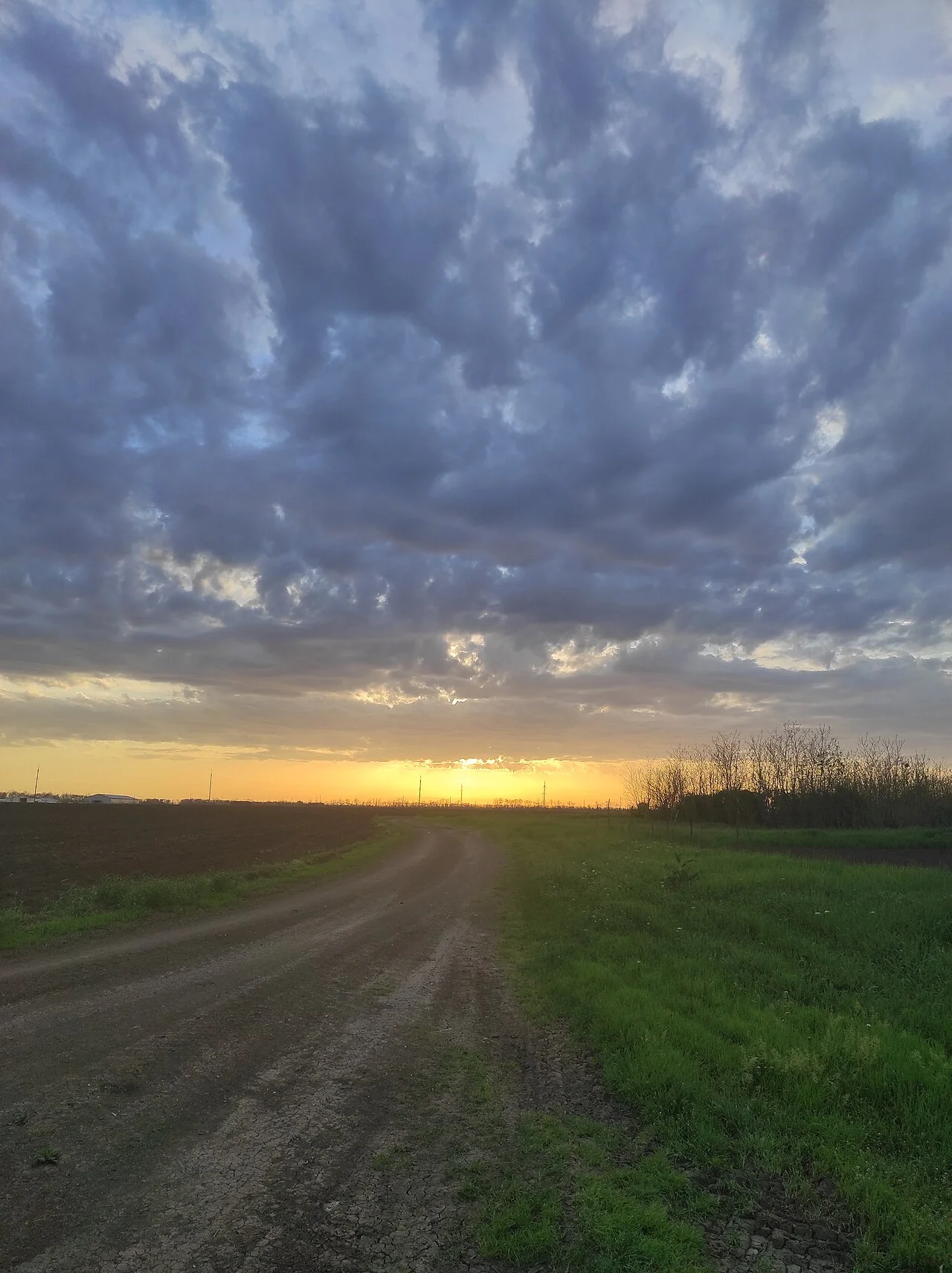 Photo of Chelbasskaya