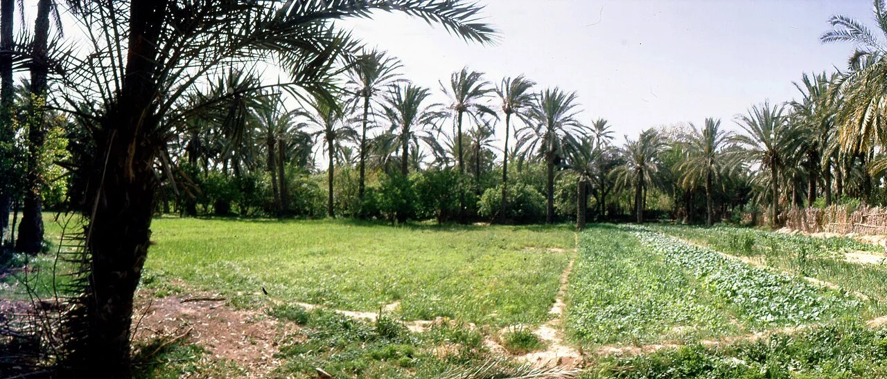 Photo of Chenini Nahal