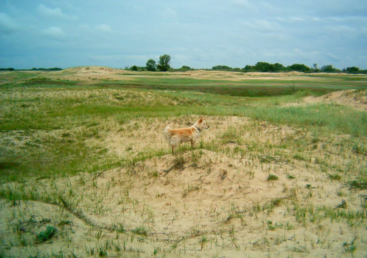 Photo of Chernyshkovskiy