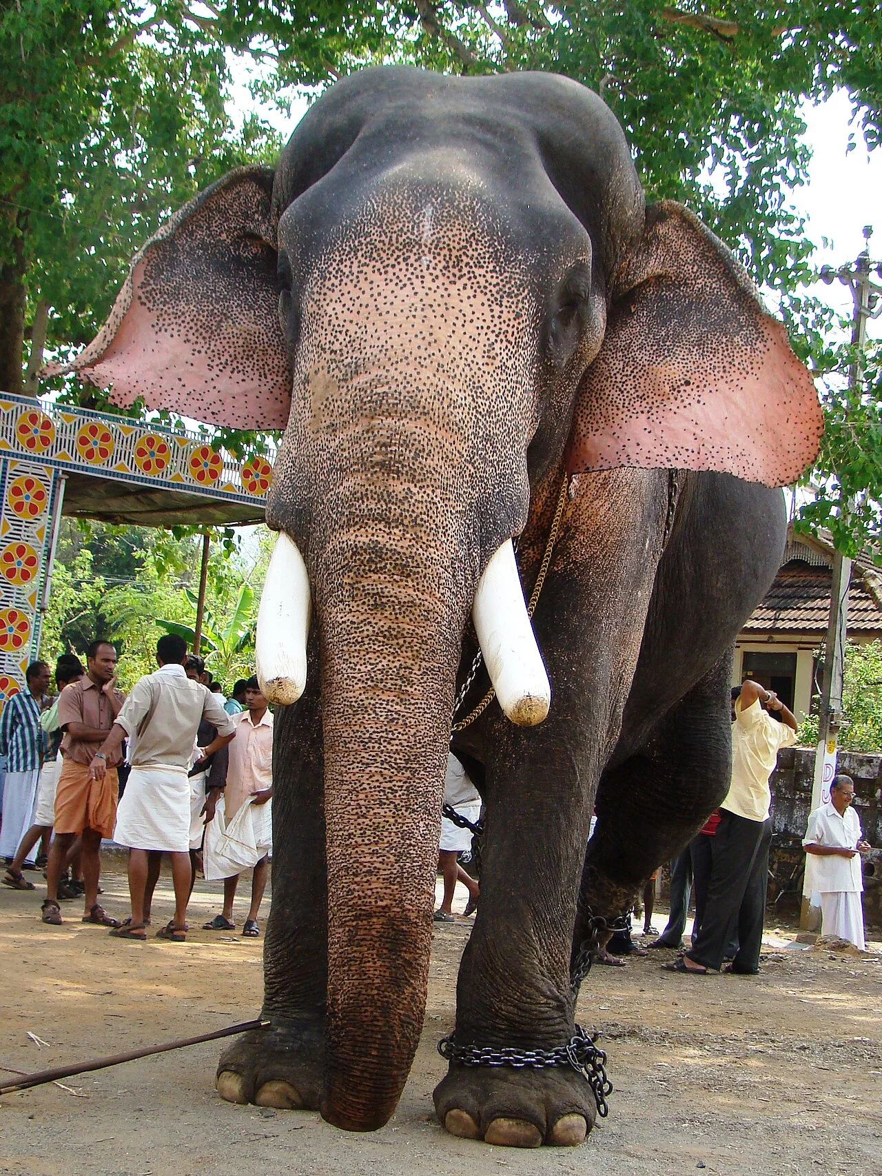 Photo of Cherpulassery