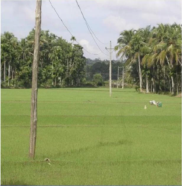 Photo of Cherukunnu