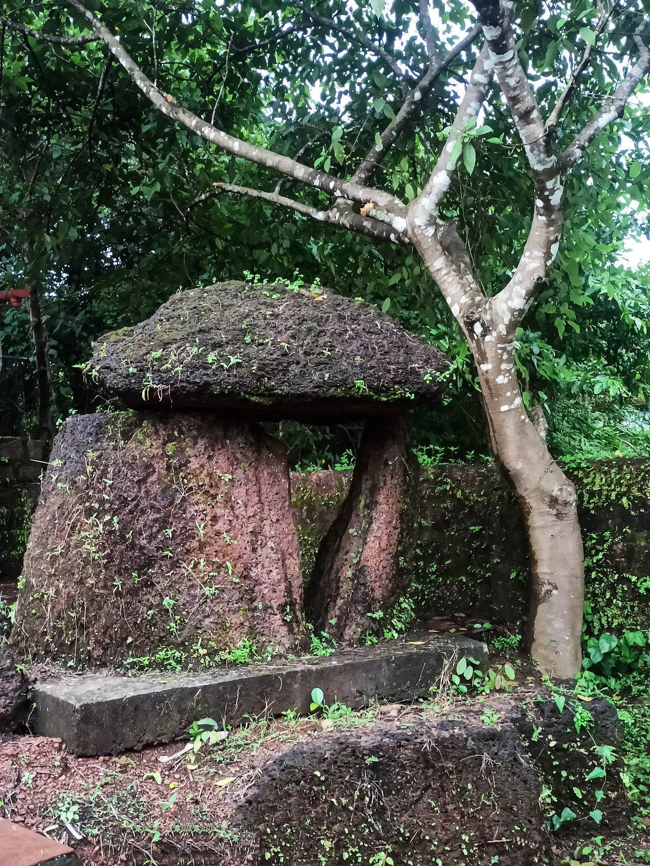 Photo of Cheruthazham