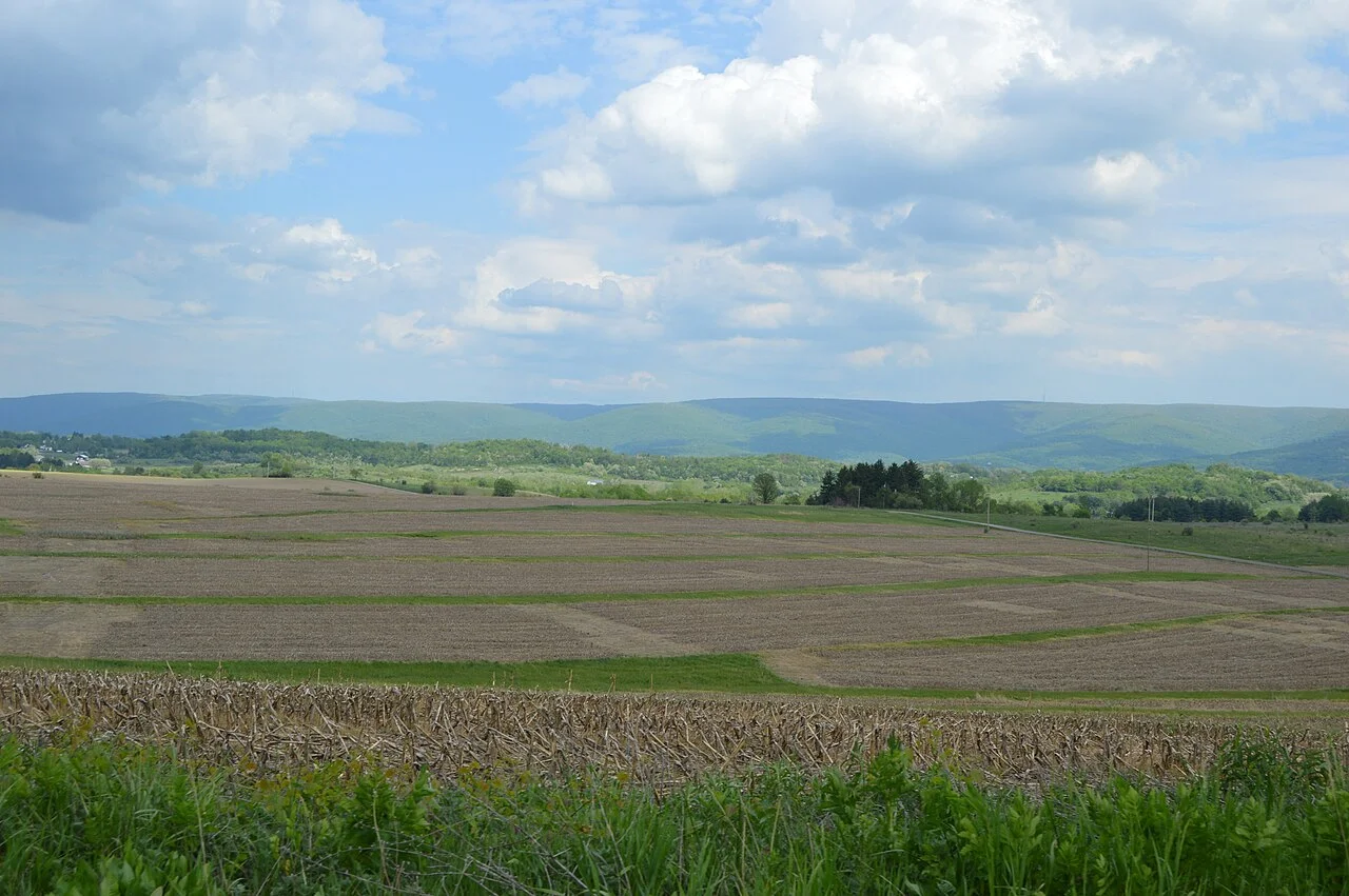 Photo of Chestnut Ridge