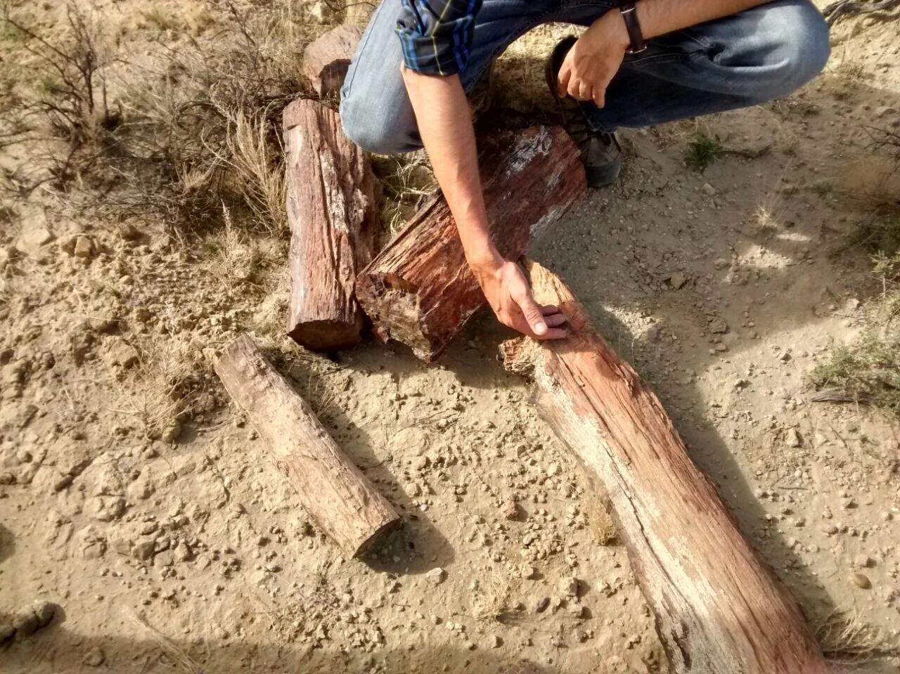 Photo of Chichinales