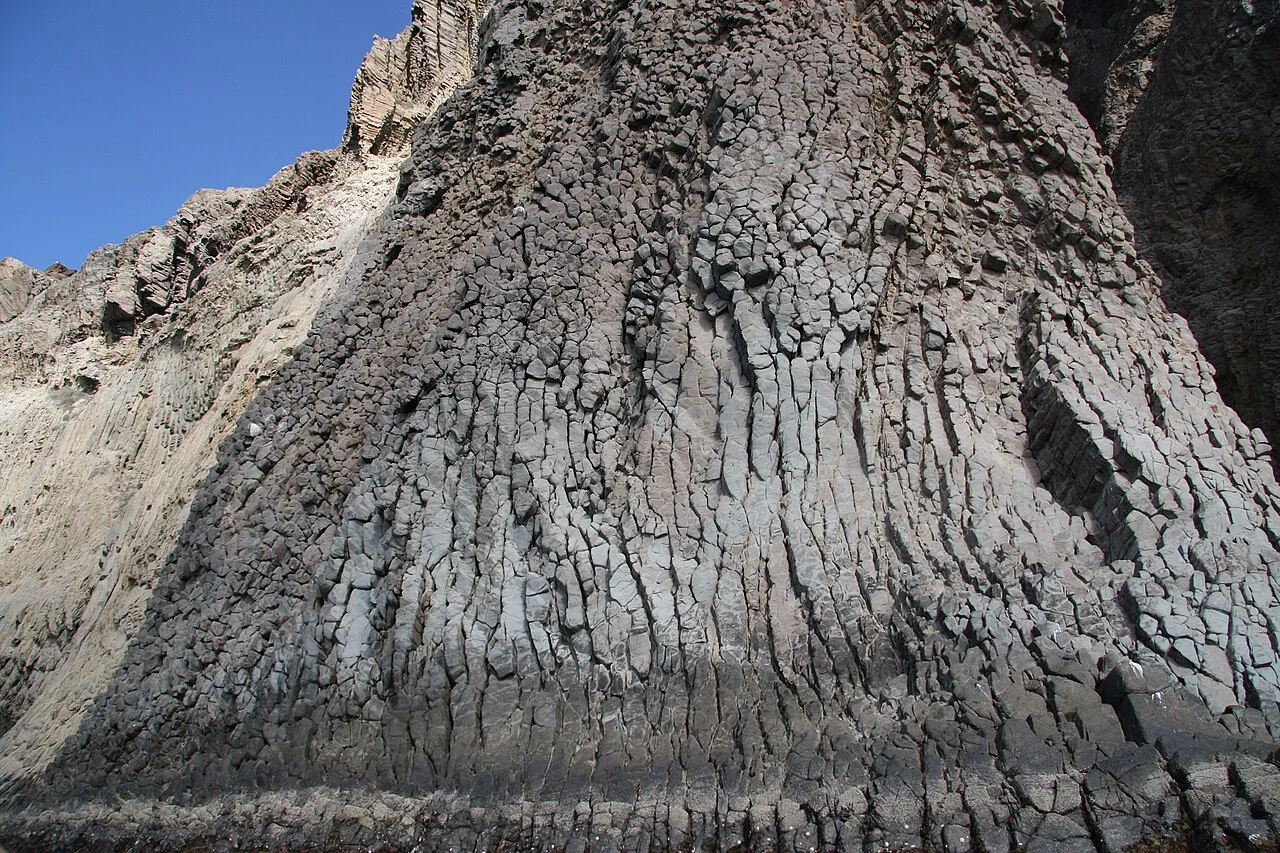 Photo of Chinampa de Gorostiza