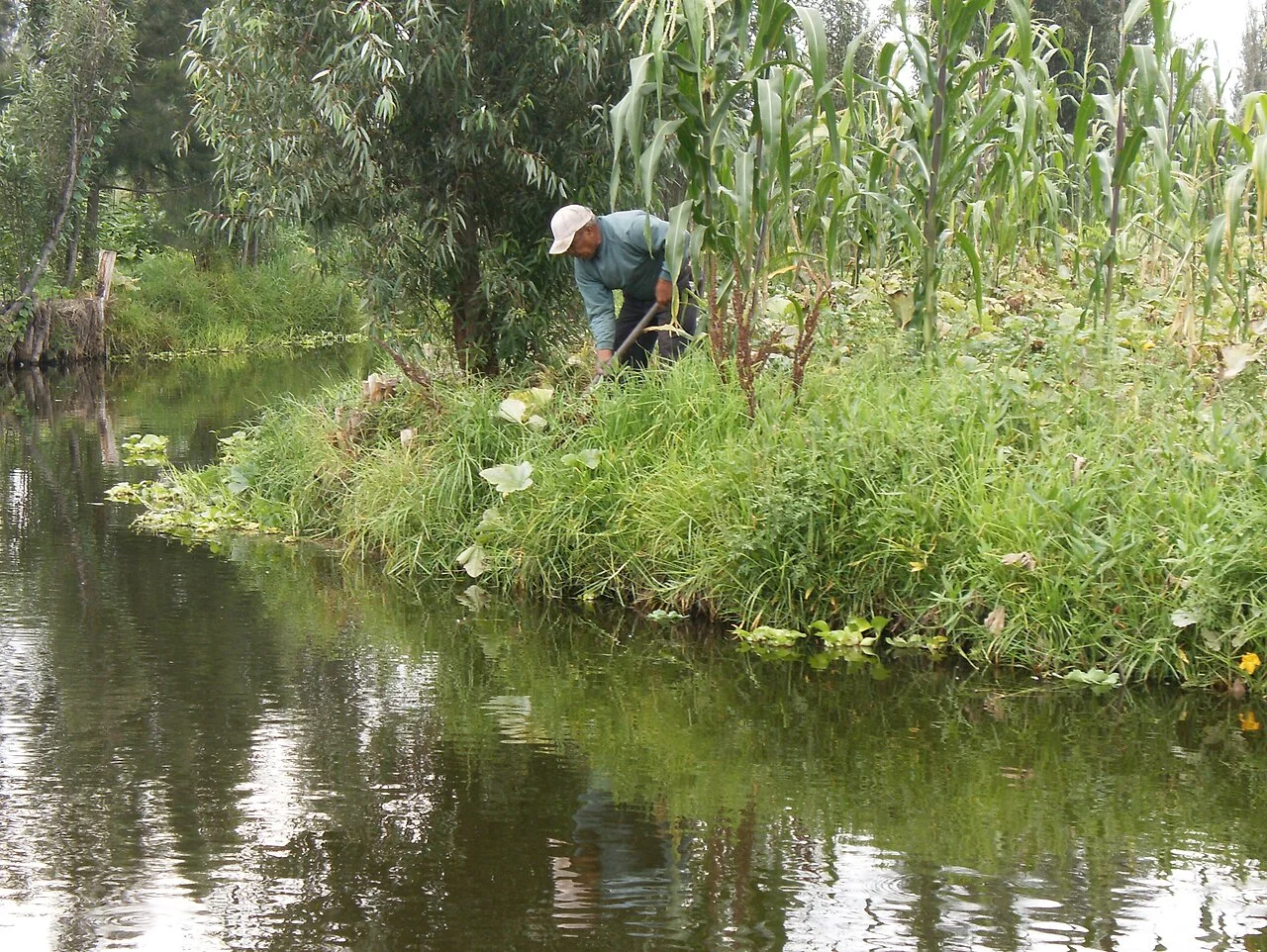 Photo of Chinampas