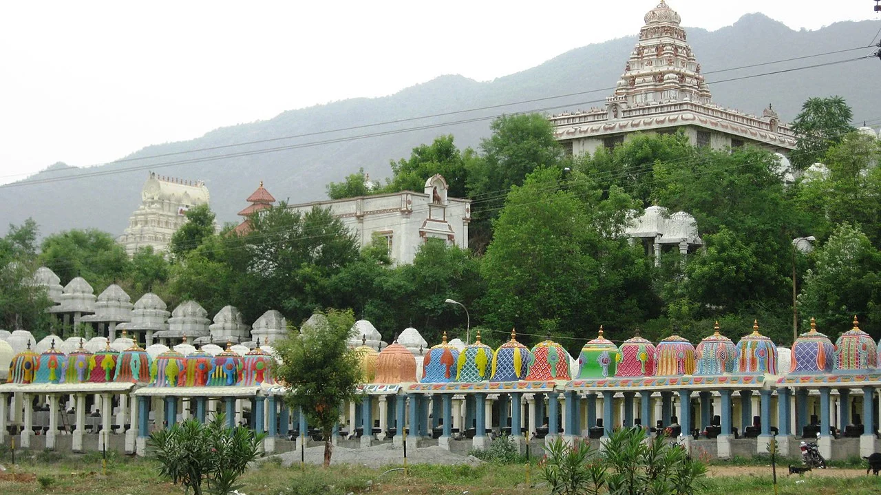 Photo of Chinna Salem