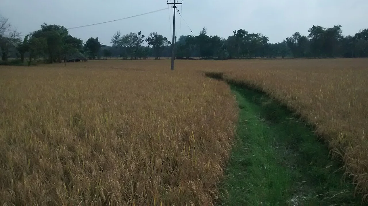 Photo of Chinnachintakunta