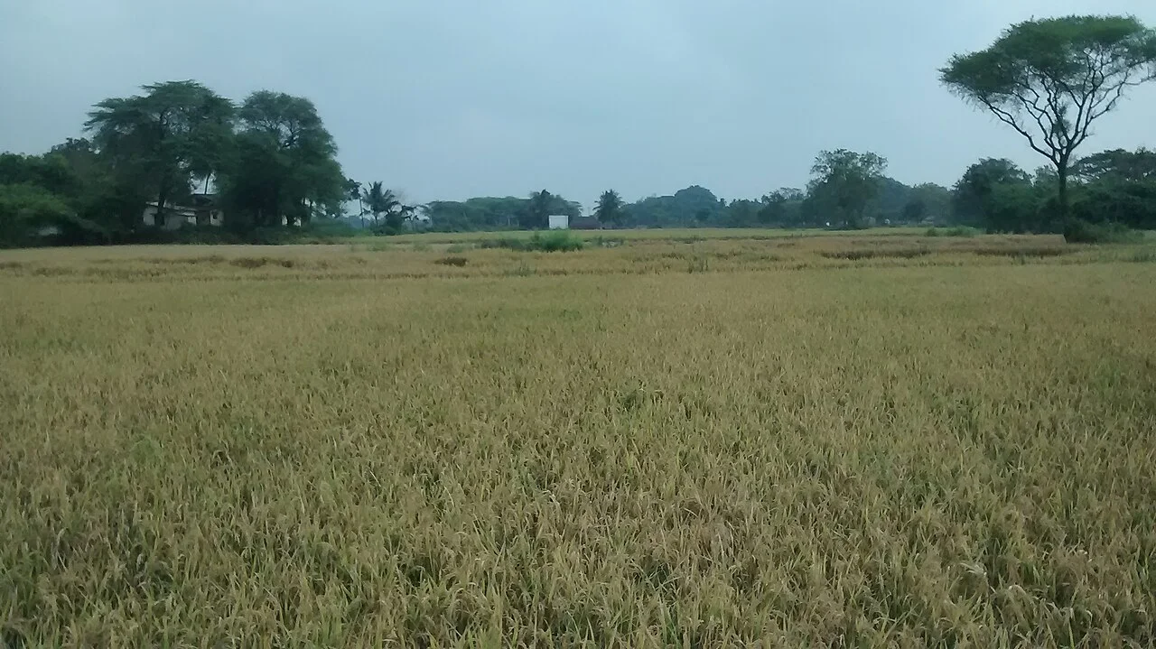 Photo of Chinnachintakunta