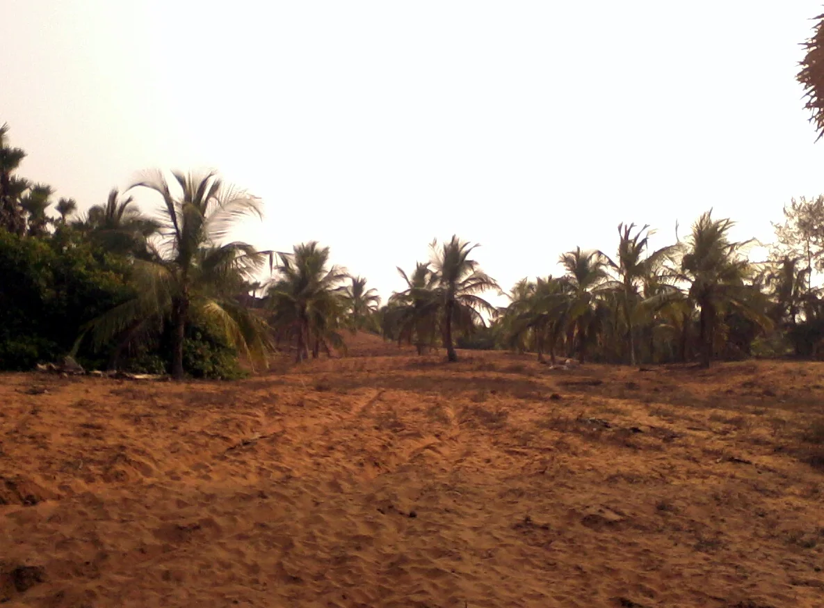 Photo of Chintapalle