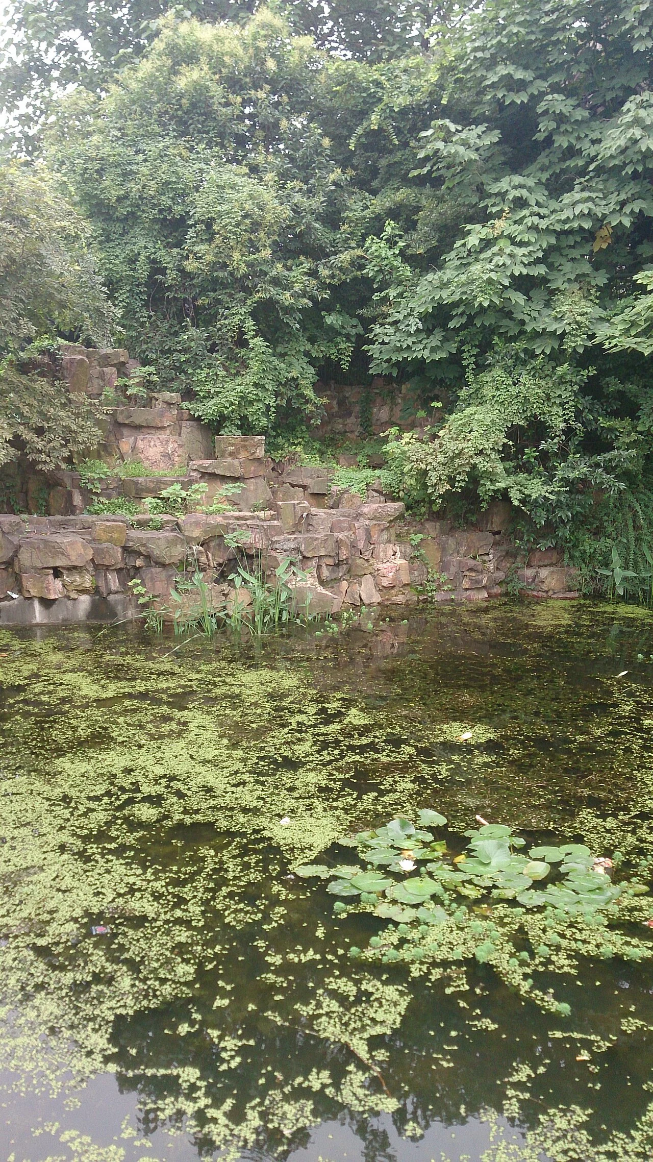 Photo of Chong’ansi