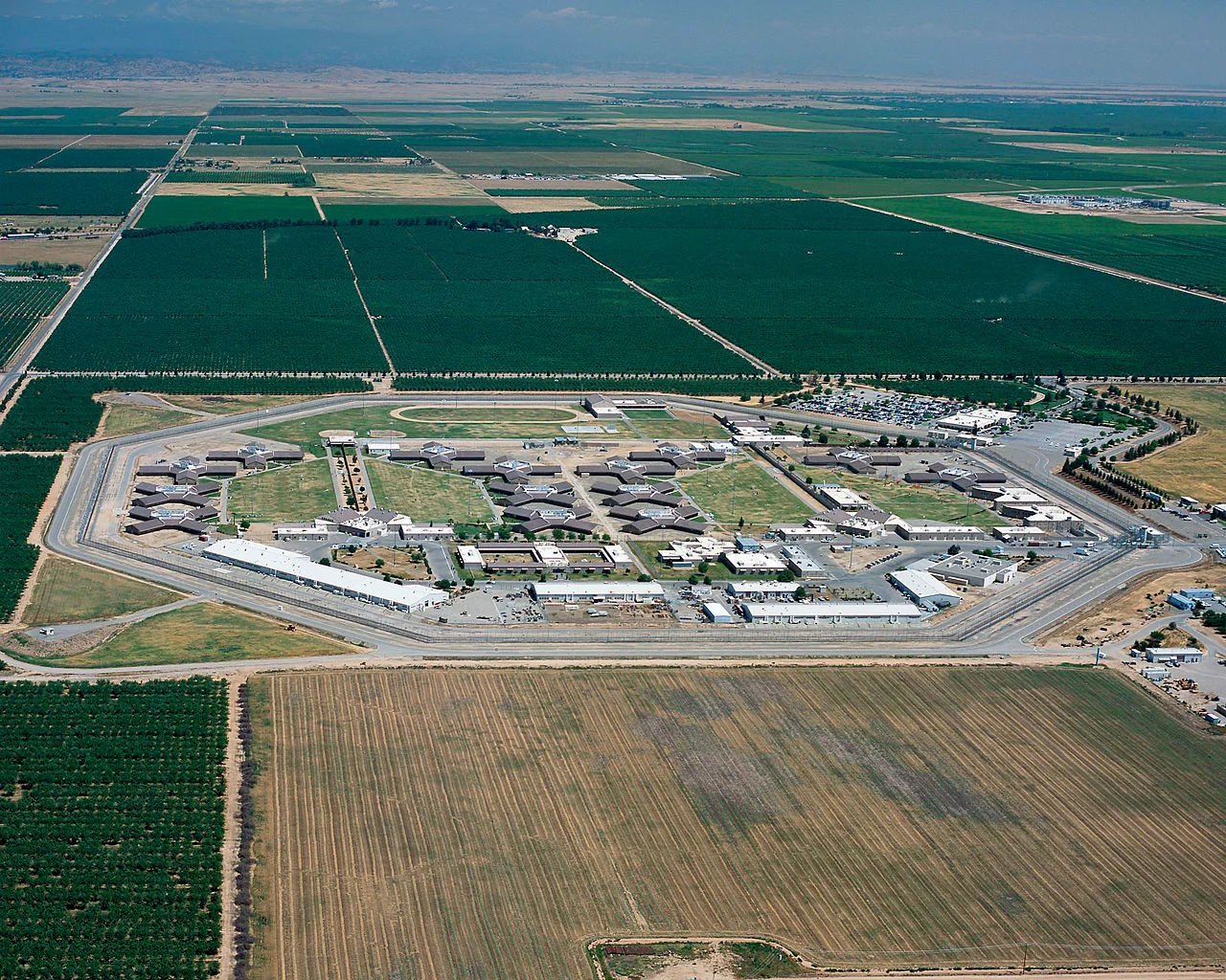 Photo of Chowchilla
