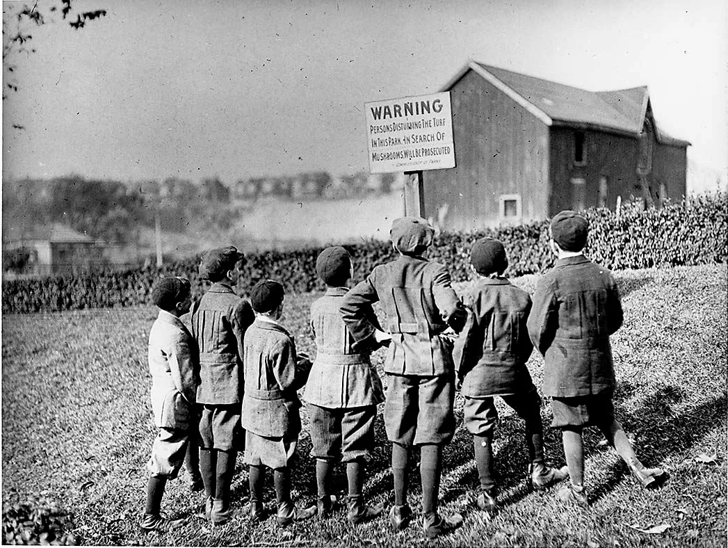 Photo of Christie Park