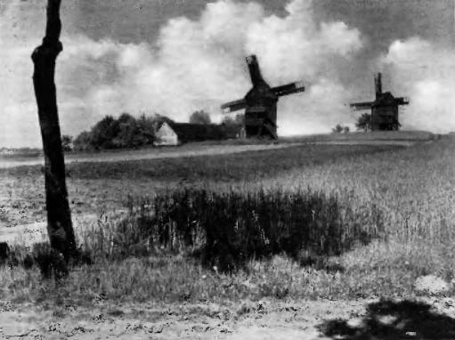 Photo of Chróścina