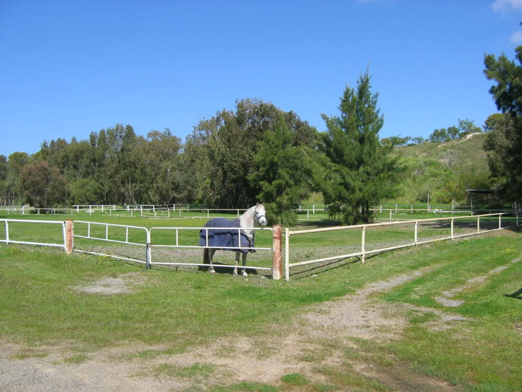 Photo of Churchlands