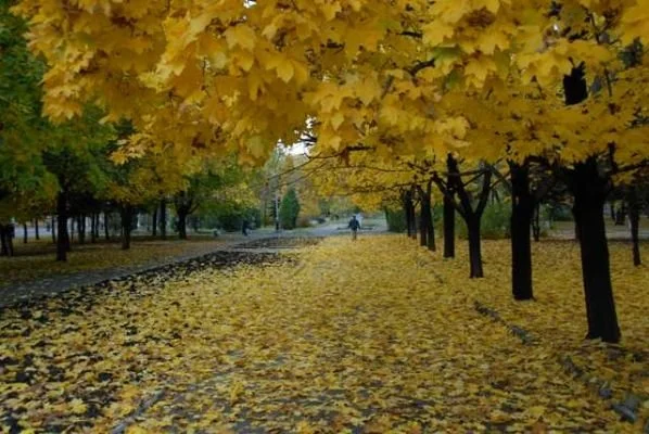 Photo of Chystyakove