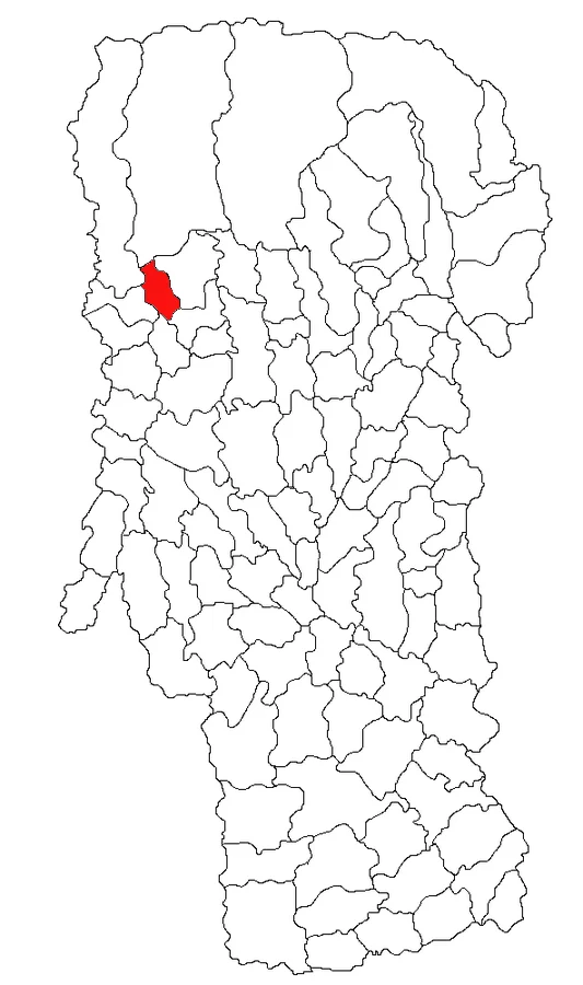 Photo of Cicănești