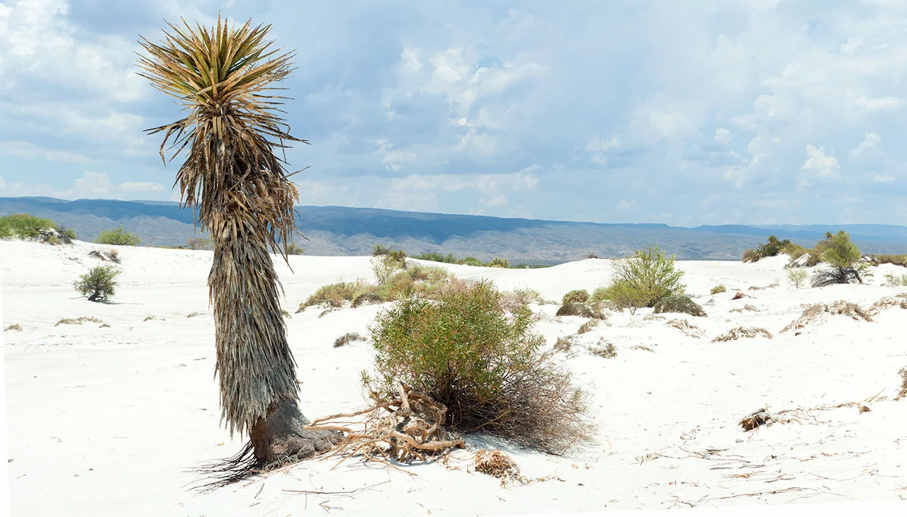 Photo of Ciénega Grande