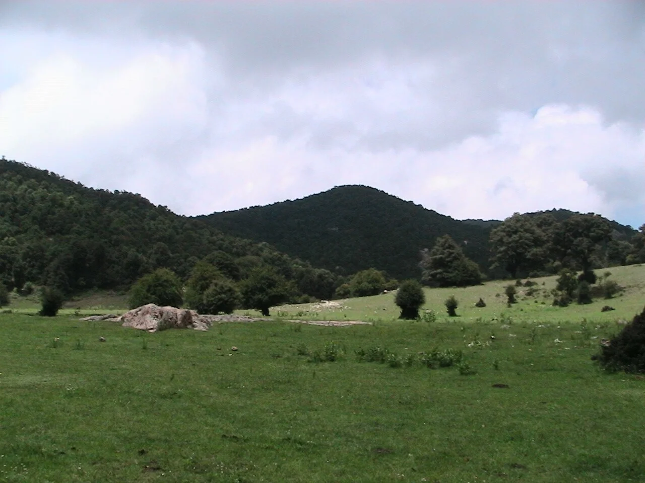 Photo of Ciénega Grande