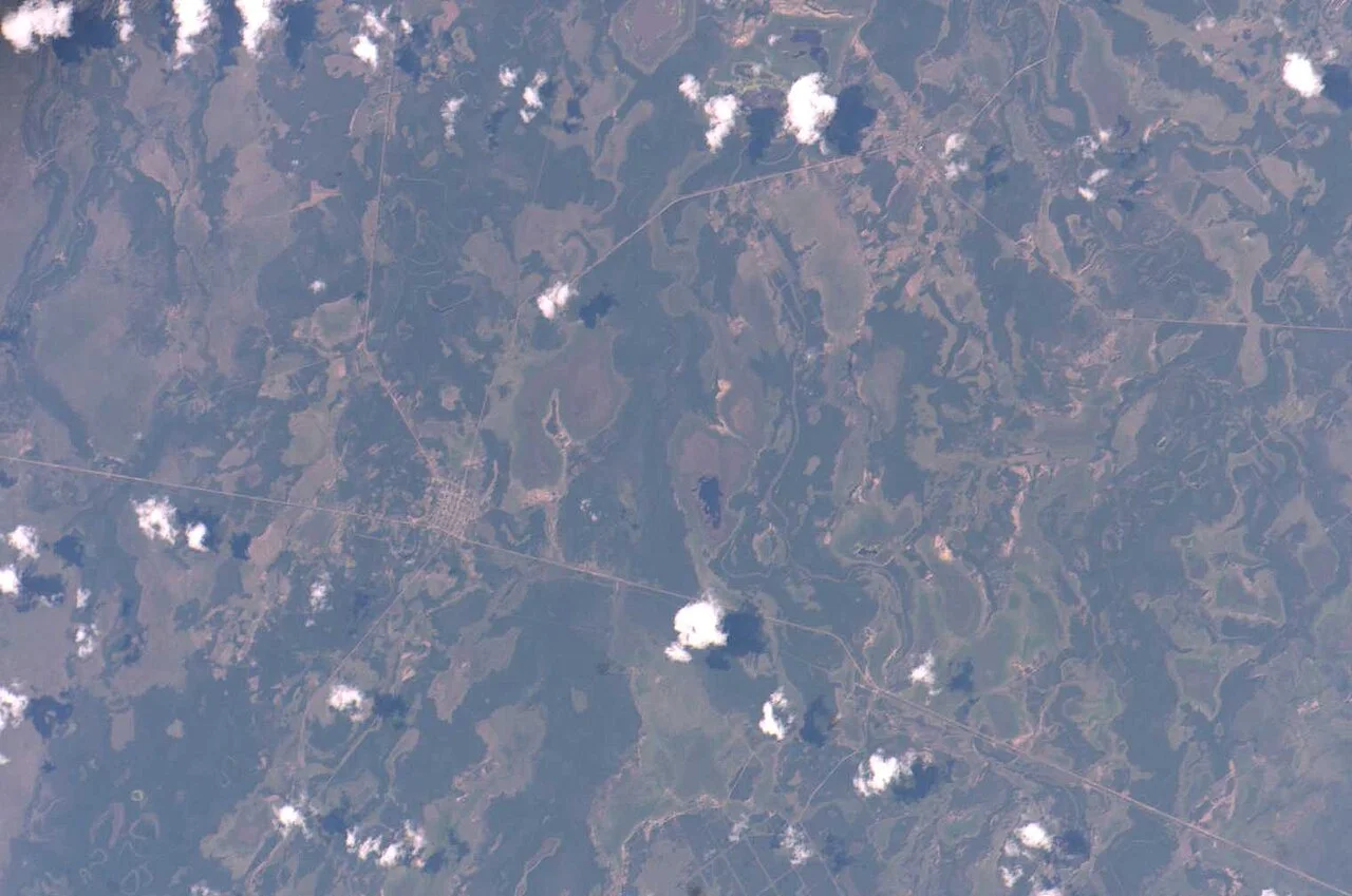 Photo of Ciervo Petiso