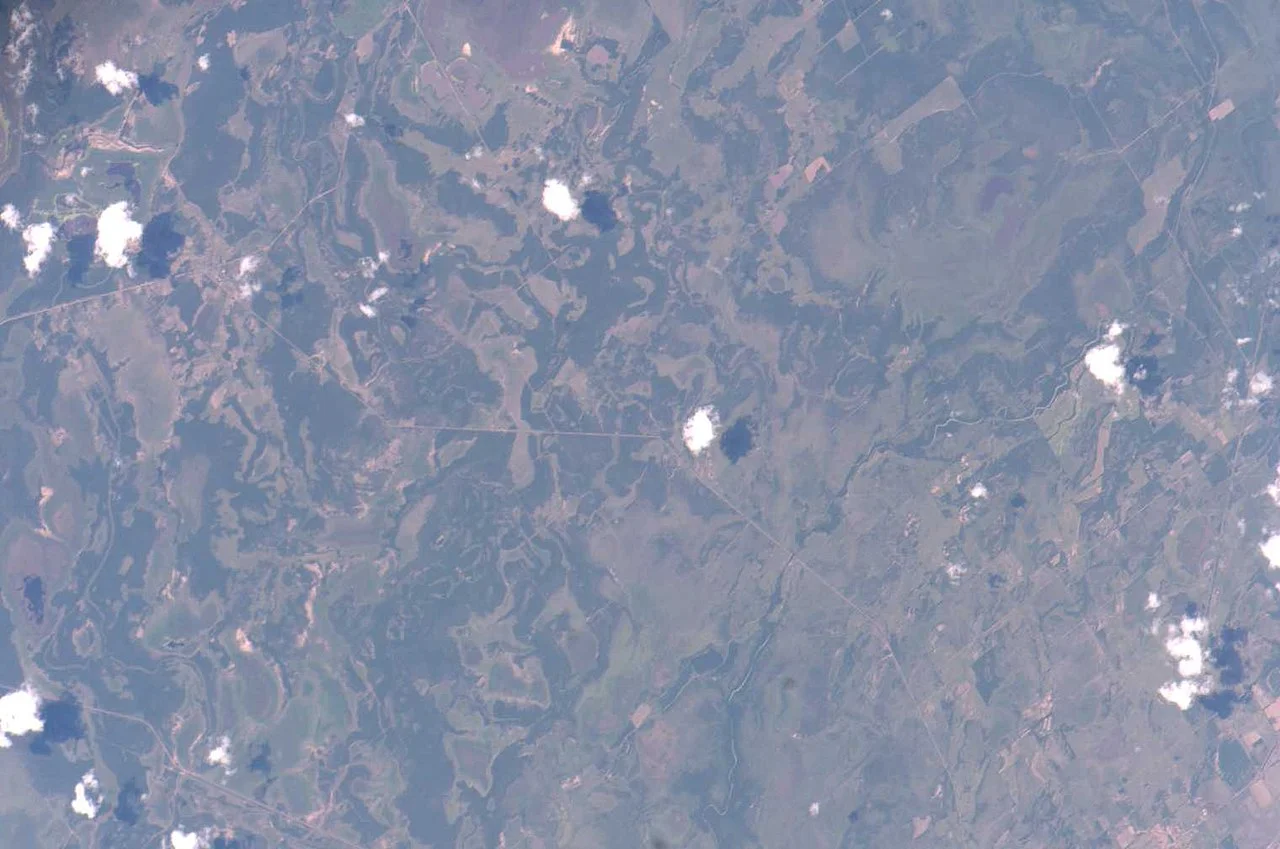 Photo of Ciervo Petiso