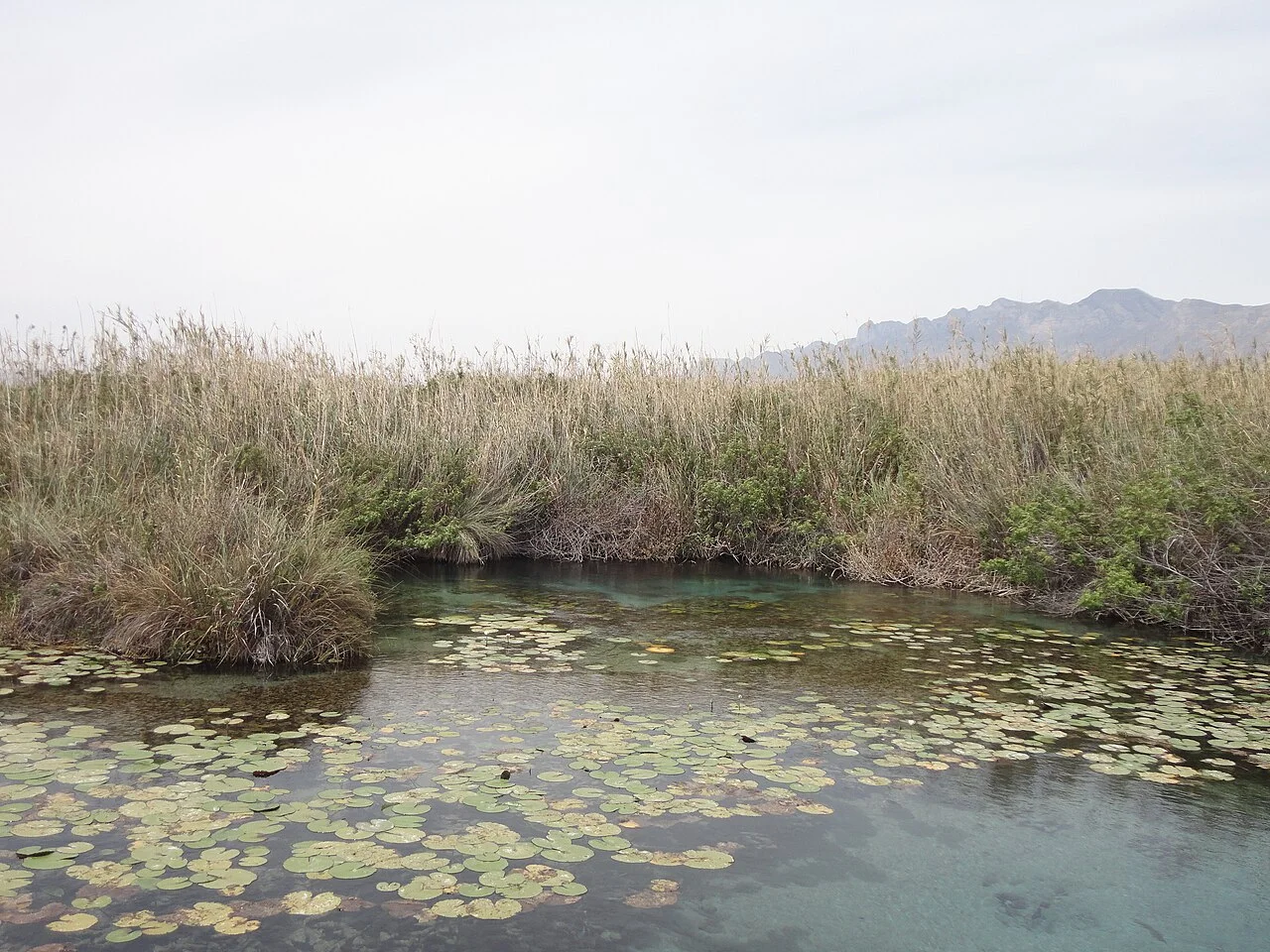 Photo of Ciudad Coahuila (Kilómetro Cincuenta y Siete)