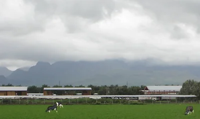 Photo of Ciudad Delicias