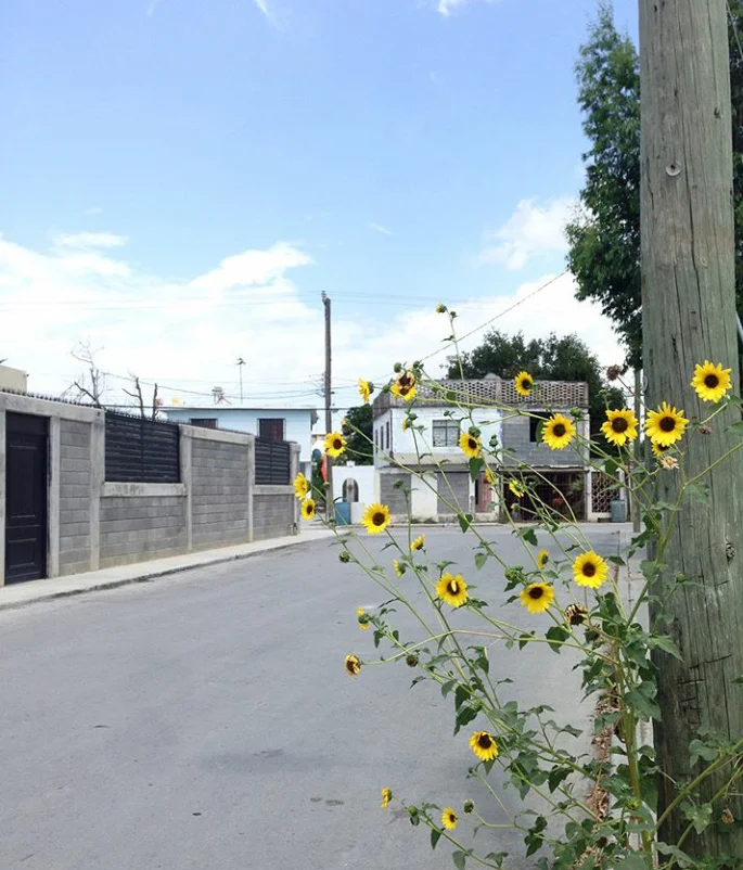 Photo of Ciudad Río Bravo